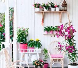 Los beneficios de tener plantas en casa